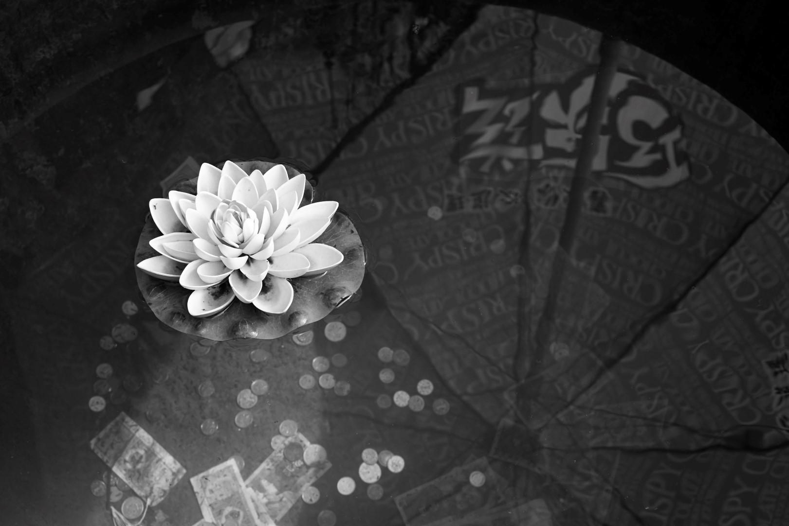 Lotusteich mit Geldspenden