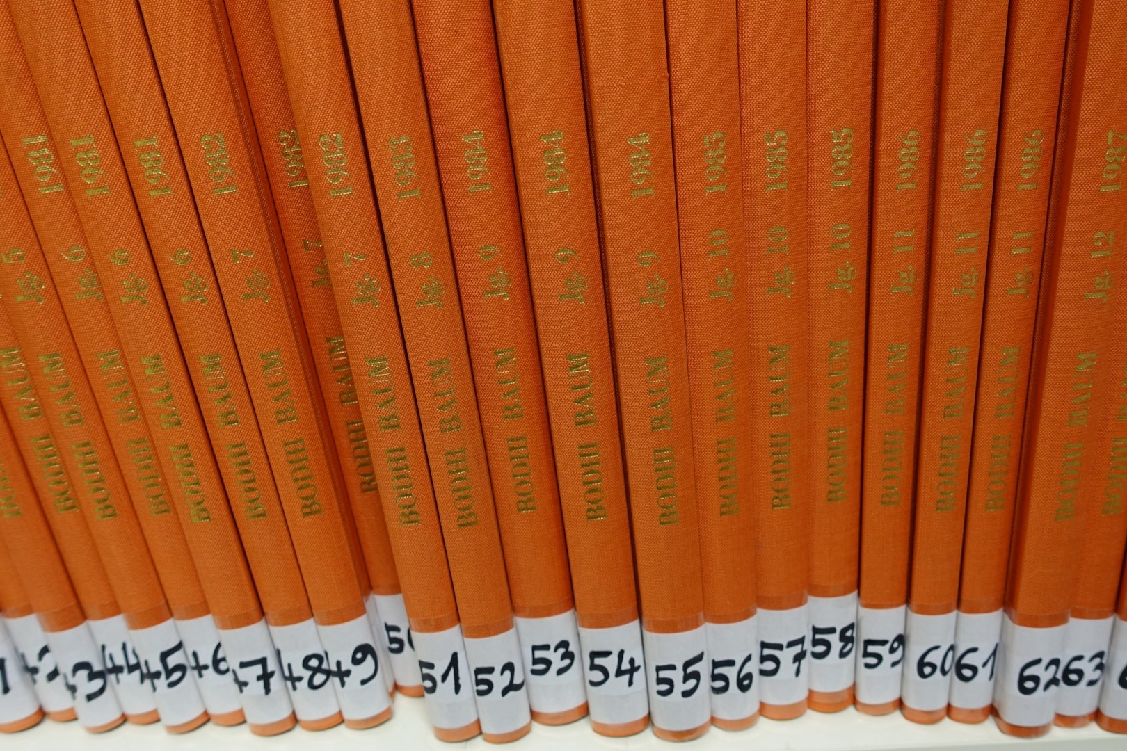 Der Bodhibaum. Sammlung aus dem ÖBR Archiv