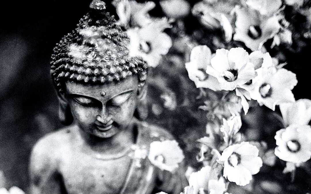 Übertraditionelle Einführung in den Buddhismus (online)