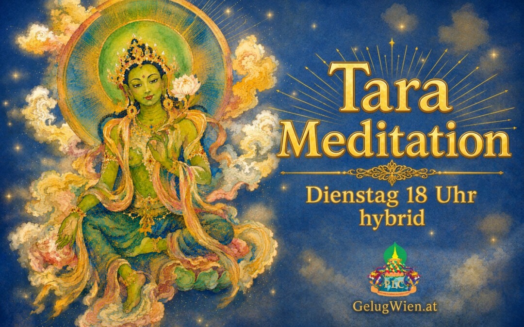 TARA Meditation, hybrid